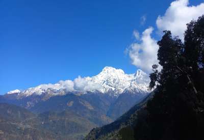 snow capped mountain view from Mardi Himal trek route