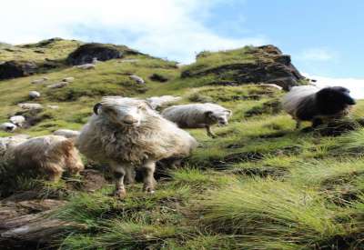 cliff on Mardi Himal Trek