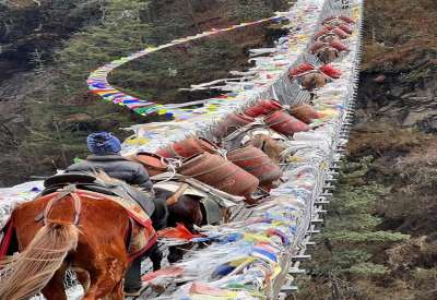 horses carrying gas cylinder on the way to manaslu circuit trek