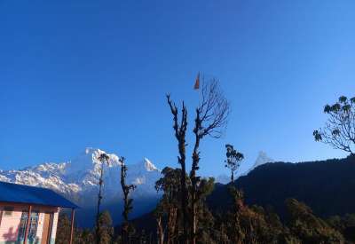 Mardi himal trek