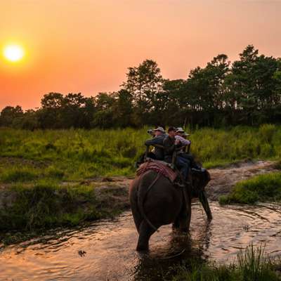 Wildlife Safari in Nepal