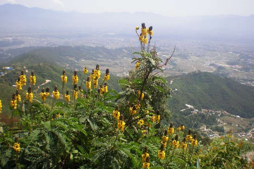 Nagarjun (Rani Ban) Day Hiking