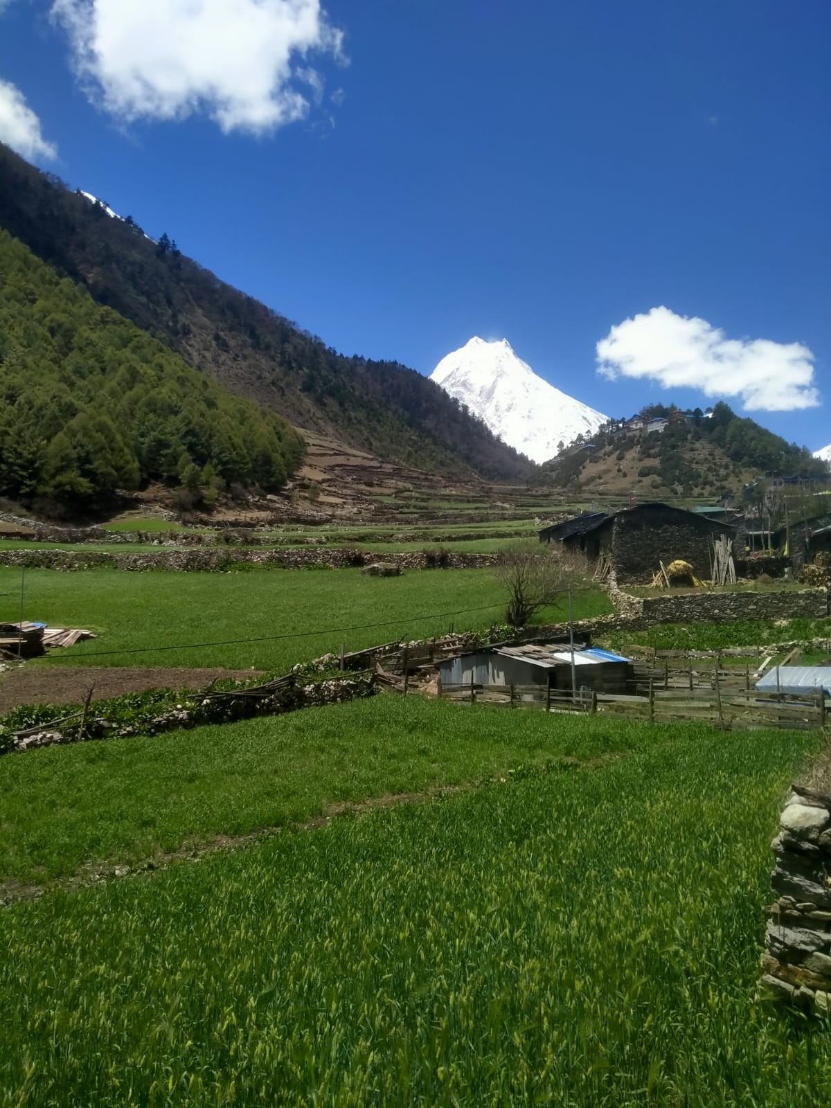 Manaslu Circuit_ trek