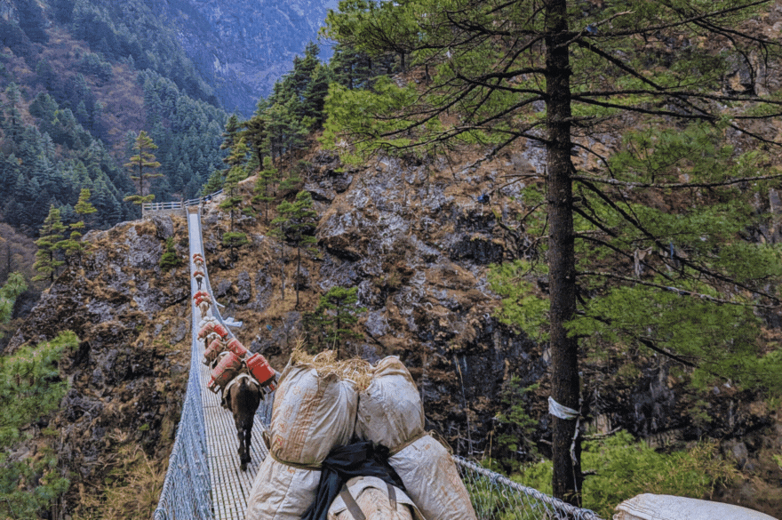 Trekker crossing suspension bridge over Dudh Koshi River on Everest Base Camp trek