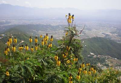 Nagarjun (Rani Ban) Day Hiking